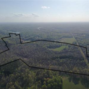 Photo #6 of 1500 Wiley Lewis, Greensboro, NC 188.8 acres