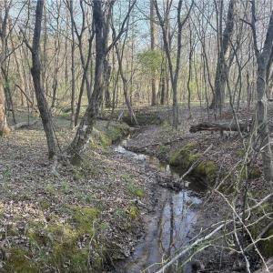 Photo #13 of 1500 Wiley Lewis, Greensboro, NC 188.8 acres