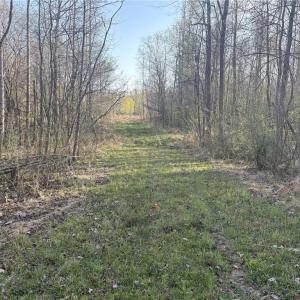 Photo #17 of 1500 Wiley Lewis, Greensboro, NC 188.8 acres