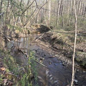Photo #16 of 1500 Wiley Lewis, Greensboro, NC 188.8 acres