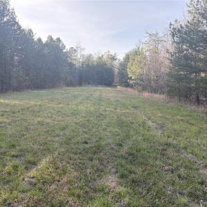 Photo #12 of 1500 Wiley Lewis, Greensboro, NC 188.8 acres