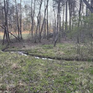 Photo #22 of 1500 Wiley Lewis, Greensboro, NC 188.8 acres
