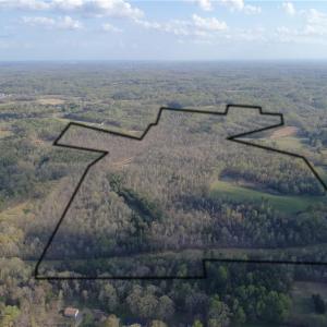 Photo #7 of 1500 Wiley Lewis, Greensboro, NC 188.8 acres