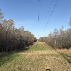 Photo #10 of 1500 Wiley Lewis, Greensboro, NC 188.8 acres