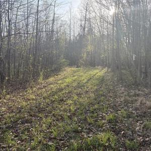 Photo #14 of 1500 Wiley Lewis, Greensboro, NC 188.8 acres