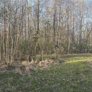 Photo #18 of 1500 Wiley Lewis, Greensboro, NC 188.8 acres