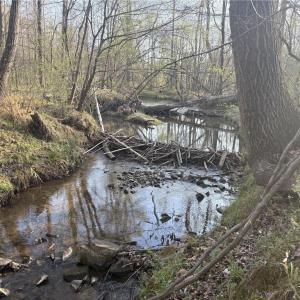 Photo #15 of 1500 Wiley Lewis, Greensboro, NC 188.8 acres