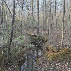 Photo #19 of 1500 Wiley Lewis, Greensboro, NC 188.8 acres
