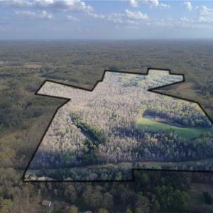 Photo #4 of 1500 Wiley Lewis, Greensboro, NC 188.8 acres