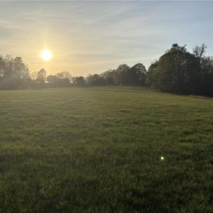 Photo #25 of 1500 Wiley Lewis, Greensboro, NC 188.8 acres