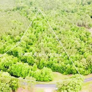 Photo #2 of TBD TRACT A Bellview, Robbins, NC 6.0 acres