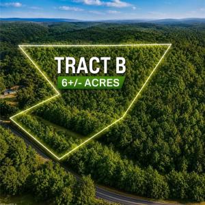 Photo #1 of TBD TRACT B Bellview, Robbins, NC 6.0 acres