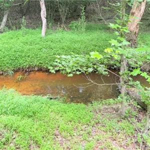 Photo #9 of TBD TRACT B Bellview, Robbins, NC 6.0 acres