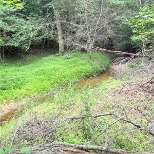 Photo #8 of TBD TRACT B Bellview, Robbins, NC 6.0 acres