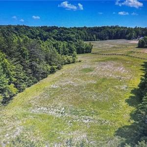 Photo #6 of 1 George Miles, Burlington, NC 34.4 acres