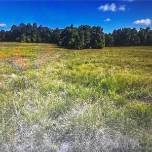 Photo #7 of 1 George Miles, Burlington, NC 34.4 acres