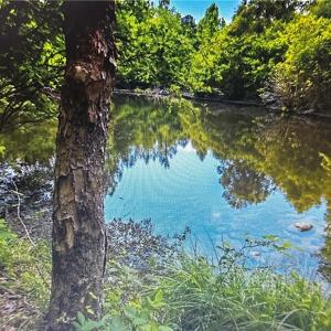 Photo #8 of 1 George Miles, Burlington, NC 34.4 acres