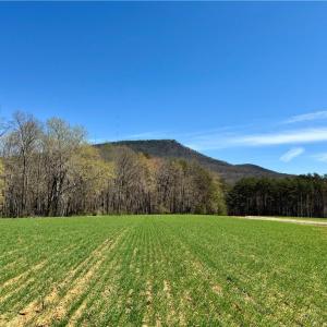 Photo #2 of 6 Old Mill, Pinnacle, NC 10.4 acres
