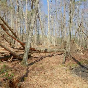 Photo #12 of 6 Old Mill, Pinnacle, NC 10.4 acres