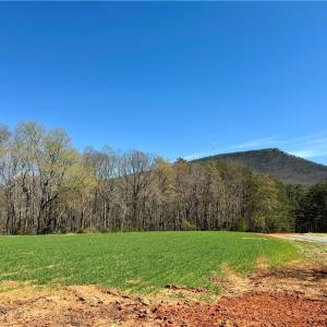 Photo #3 of 6 Old Mill, Pinnacle, NC 10.4 acres