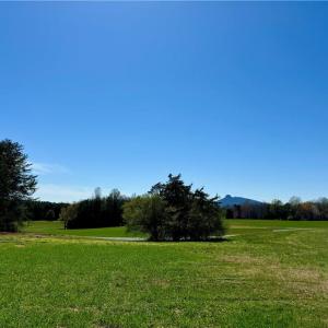 Photo #5 of 6 Old Mill, Pinnacle, NC 10.4 acres