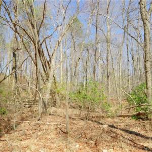 Photo #10 of 6 Old Mill, Pinnacle, NC 10.4 acres