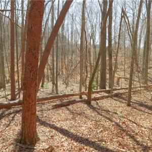 Photo #14 of 6 Old Mill, Pinnacle, NC 10.4 acres