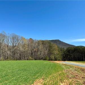 Photo #4 of 6 Old Mill, Pinnacle, NC 10.4 acres
