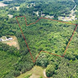 Photo #5 of 3919 Nc Highway 150, Browns Summit, NC 24.8 acres