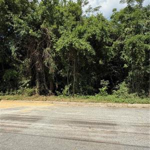 Photo #3 of 1007 Beaumont, Greensboro, NC 0.8 acres