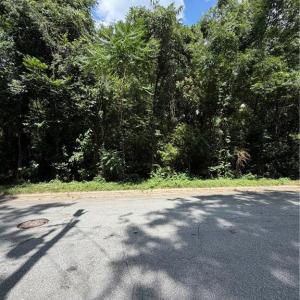 Photo #9 of 1007 Beaumont, Greensboro, NC 0.8 acres