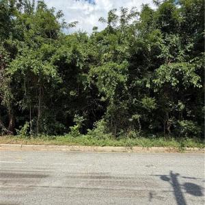 Photo #4 of 1007 Beaumont, Greensboro, NC 0.8 acres