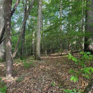 Photo #1 of Dover Church, Seagrove, NC 20.0 acres