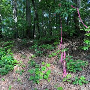 Photo #4 of Dover Church, Seagrove, NC 20.0 acres