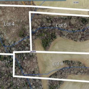 Aerial Overlay for lots 4, 5  & 6 Summer Place.Not to Scale.  For illustrative & discussion purposes only.