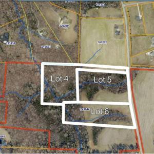 Zoomed showing surrounding developed properties with similar features. Overlay not to scale. For illustrative and discussion purposes only.