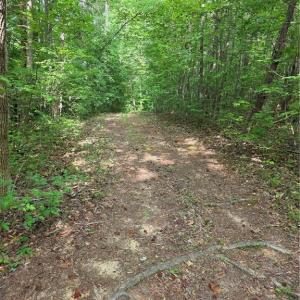 Photo #23 of xx 31.85 +-ac Hampton, Germanton, NC 31.9 acres