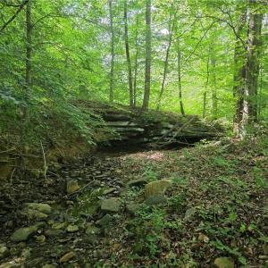 Photo #13 of xx 31.85 +-ac Hampton, Germanton, NC 31.9 acres