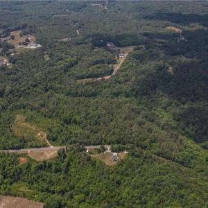 Photo #17 of xx 31.85 +-ac Hampton, Germanton, NC 31.9 acres