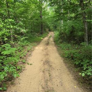 Photo #12 of xx 31.85 +-ac Hampton, Germanton, NC 31.9 acres