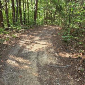 Photo #22 of xx 31.85 +-ac Hampton, Germanton, NC 31.9 acres
