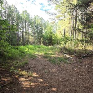 Photo #7 of xx 31.85 +-ac Hampton, Germanton, NC 31.9 acres