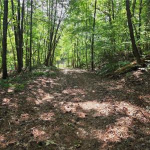Photo #32 of xx 31.85 +-ac Hampton, Germanton, NC 31.9 acres