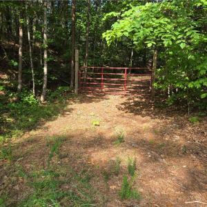 Photo #1 of xx 31.85 +-ac Hampton, Germanton, NC 31.9 acres