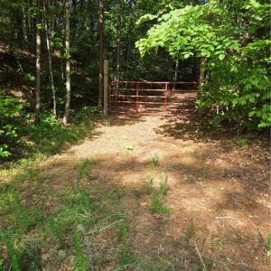 Photo #20 of xx 31.85 +-ac Hampton, Germanton, NC 31.9 acres
