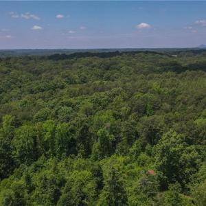 Photo #9 of xx 31.85 +-ac Hampton, Germanton, NC 31.9 acres