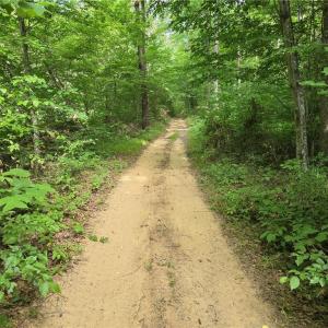 Photo #24 of xx 31.85 +-ac Hampton, Germanton, NC 31.9 acres