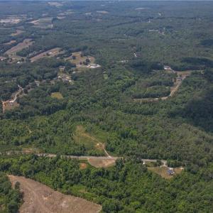 Photo #18 of xx 31.85 +-ac Hampton, Germanton, NC 31.9 acres