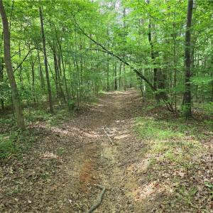 Photo #11 of xx 31.85 +-ac Hampton, Germanton, NC 31.9 acres