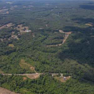 Photo #19 of xx 31.85 +-ac Hampton, Germanton, NC 31.9 acres